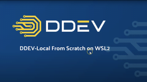 DDEV logo